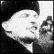 afynib