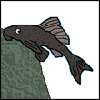 amadety